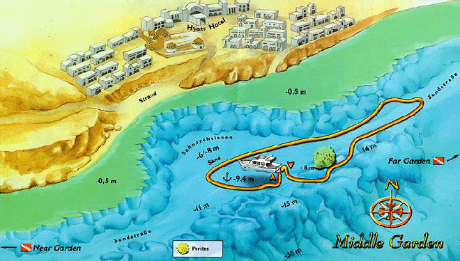 Шарм-Эль-Шейх, мстные дайвинг сайты Локальные дайвинг сайты Шарм-Эль-Шейх, Египет, Красное море Midle Garden