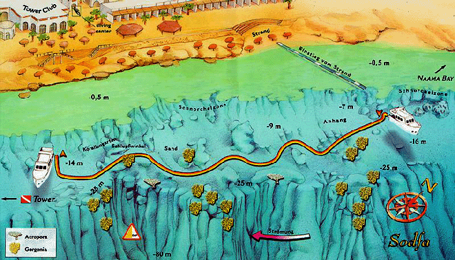 Шарм-Эль-Шейх, мстные дайвинг сайты Локальные дайвинг сайты Шарм-Эль-Шейх, Египет, Красное море Sodfa 